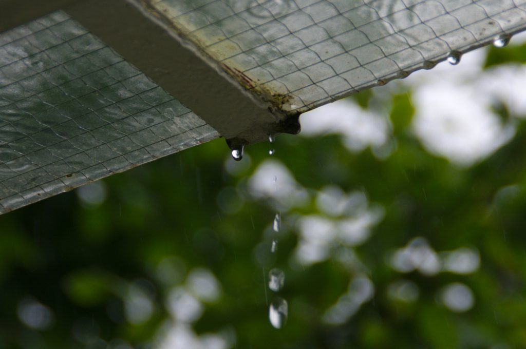 rain science rainy outdoor activities