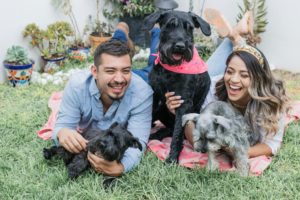 family dog pet