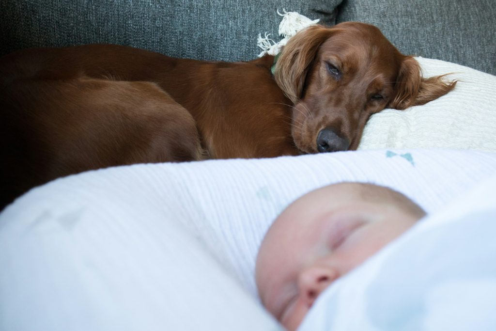 baby and dog sleeping