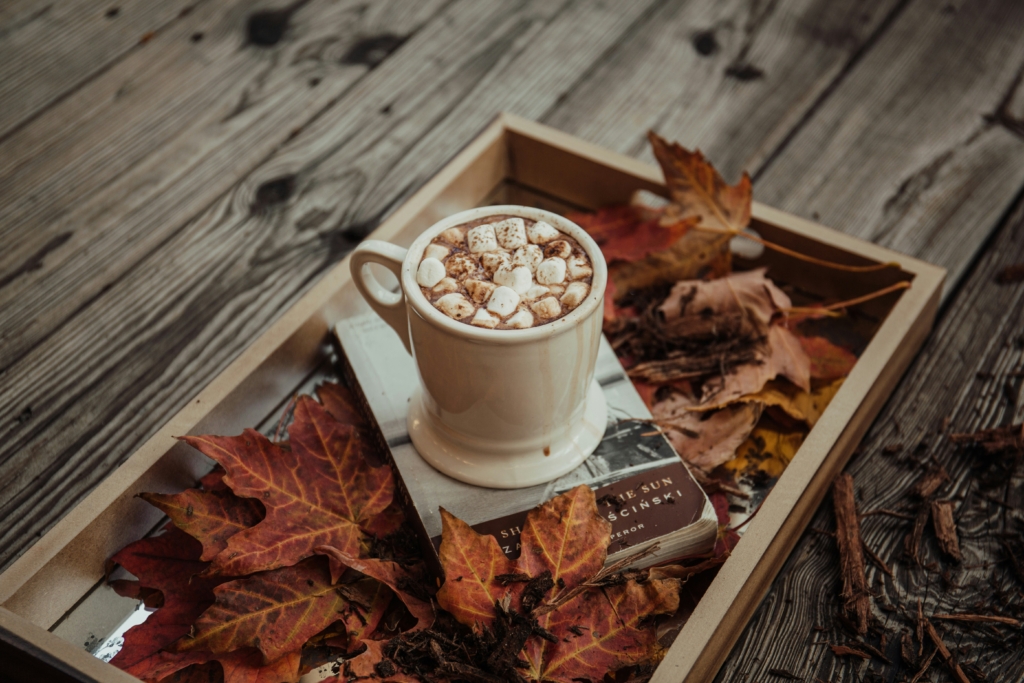 fall hot chocolate warm drink mug fall bucket list for families