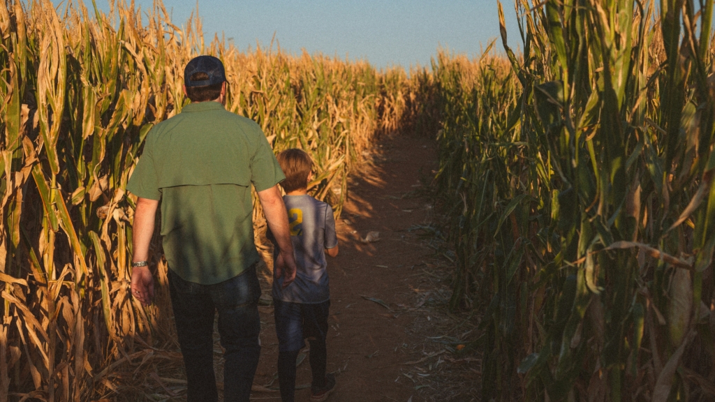 corn maze fall bucket list for families autumn