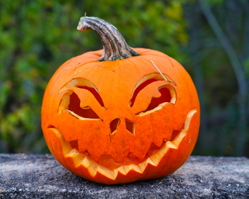 carving pumpkins fall bucket list for families