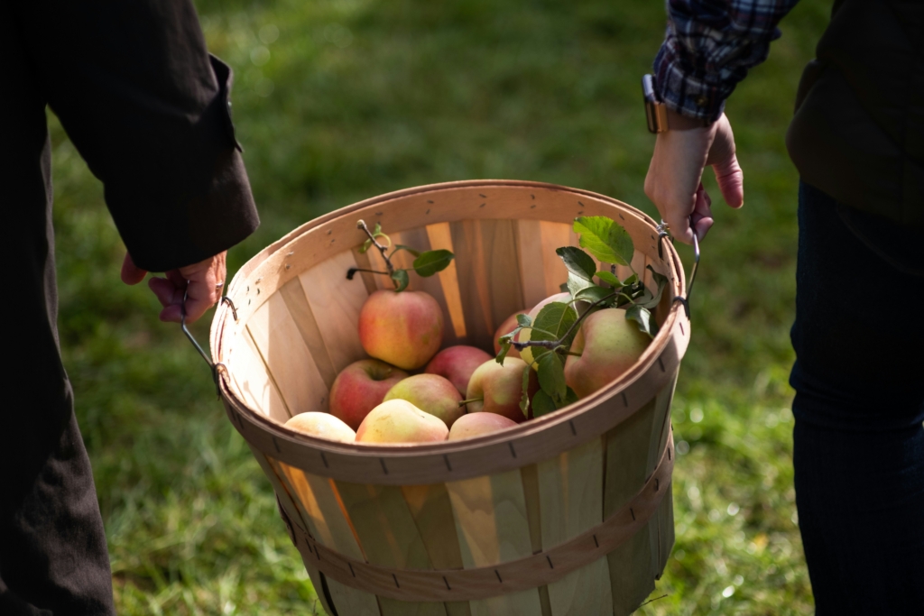apple picking fall bucket list for families