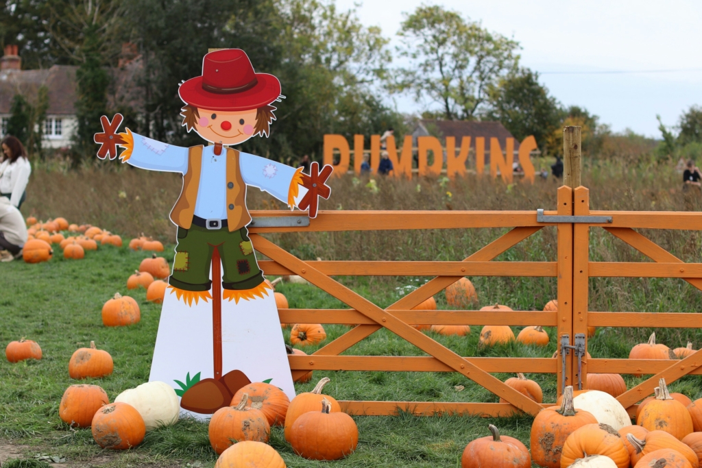 fall bucket list for families pumpkin patch fall festival
