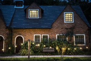backyard renovation