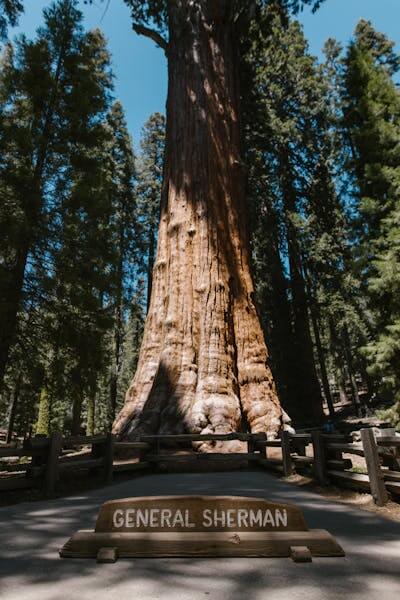 best spring break destinations for families General Sherman