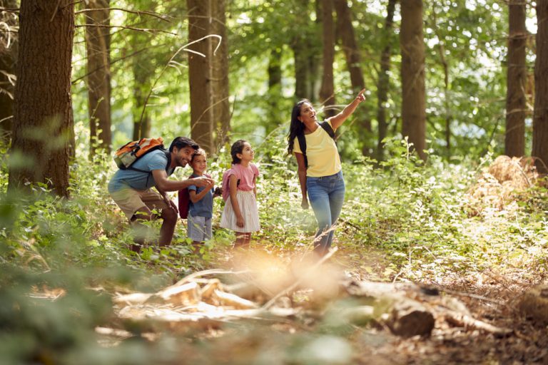 Multi-Day Hike Plan - family hiking family camping