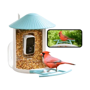 best father's day gifts according to dads - bird feeder camera