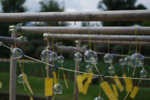 fun outdoor games - science experiment