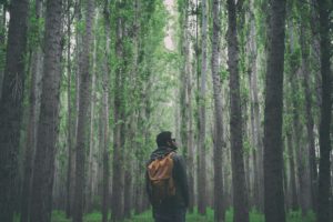 travel comfort hack - man hiking in forest