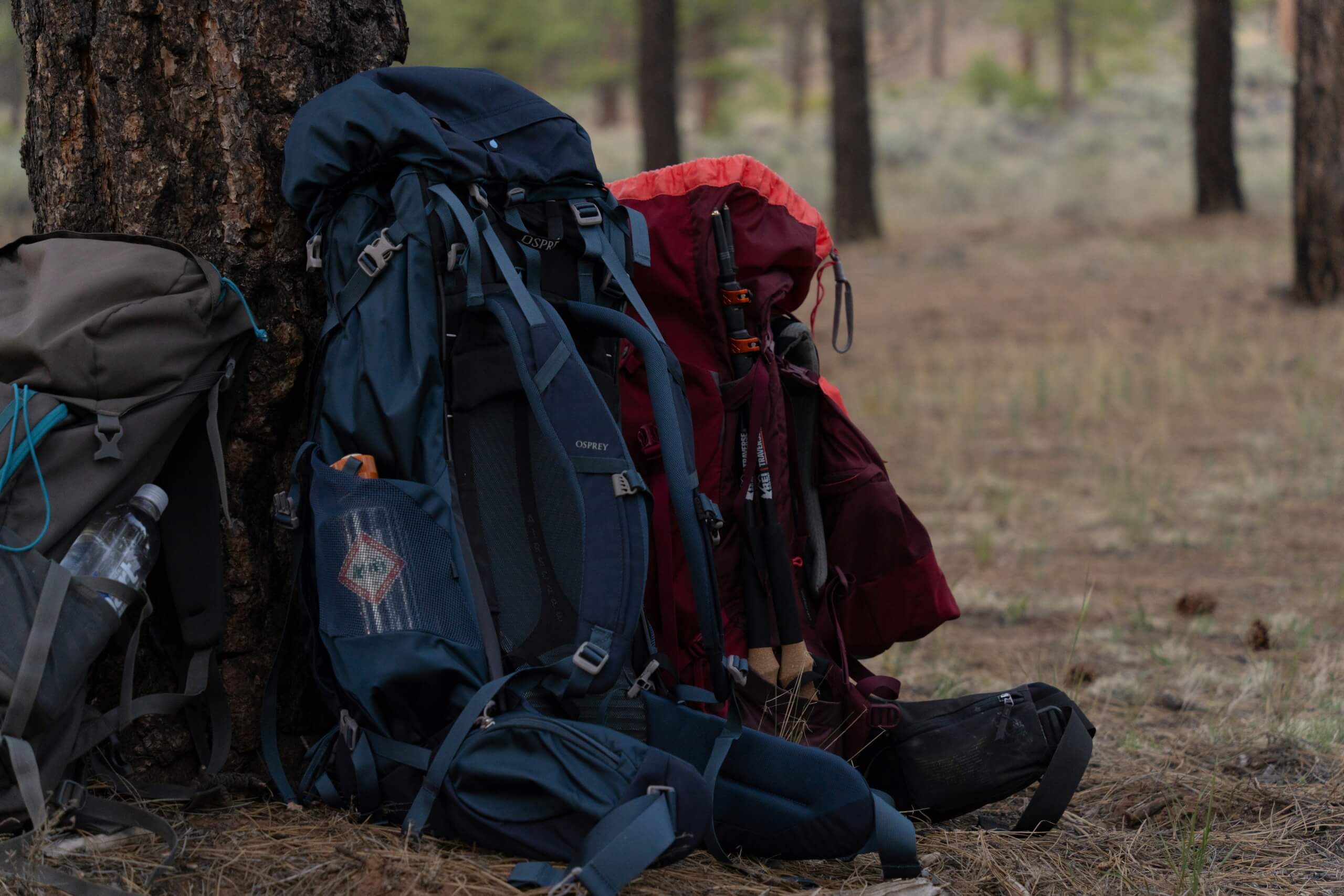 Ultimate Father-Son Camping Trip - camping gear hiking gear