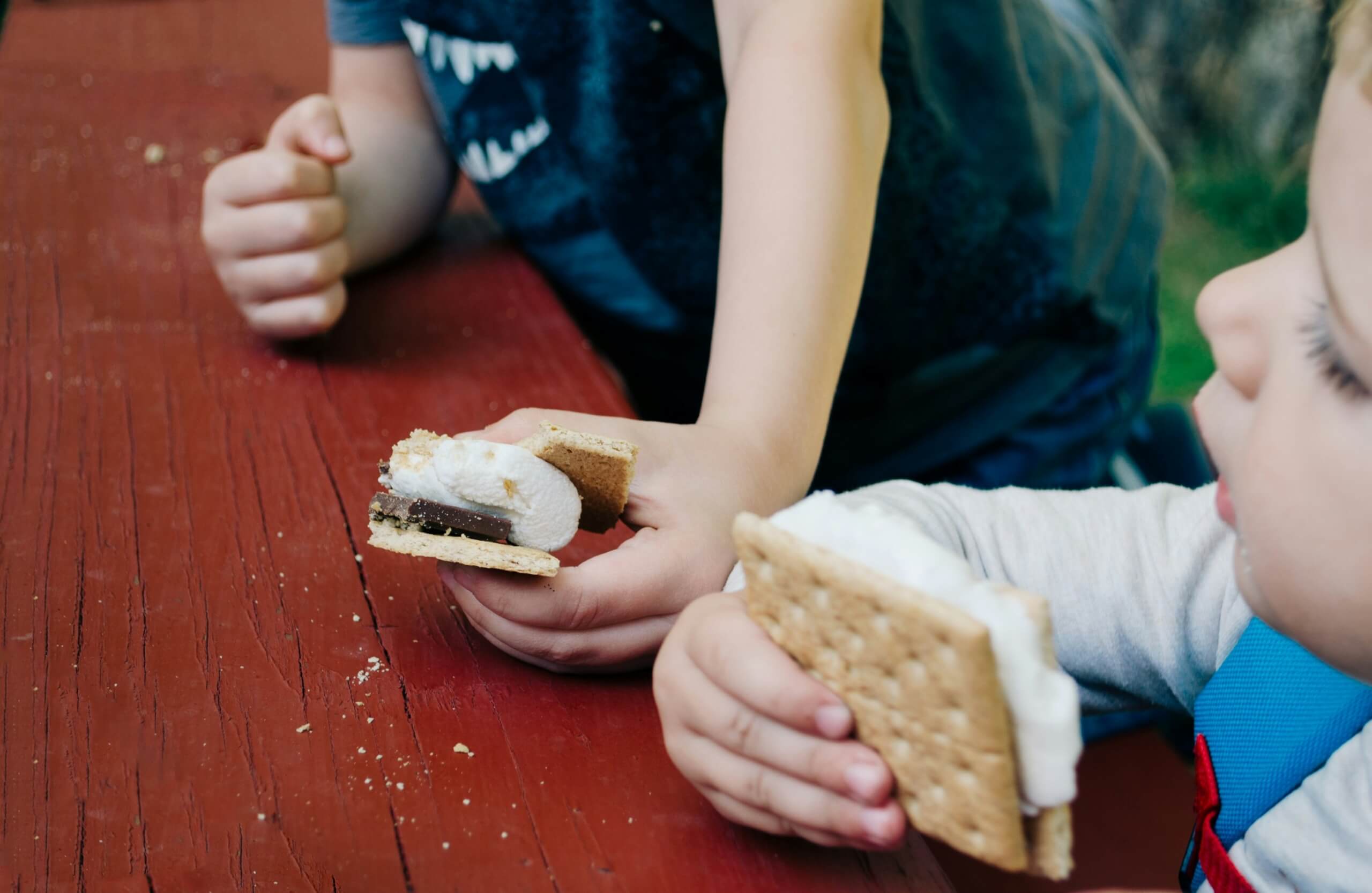 Perfect Campsite For kids - kids eating smores kids camping