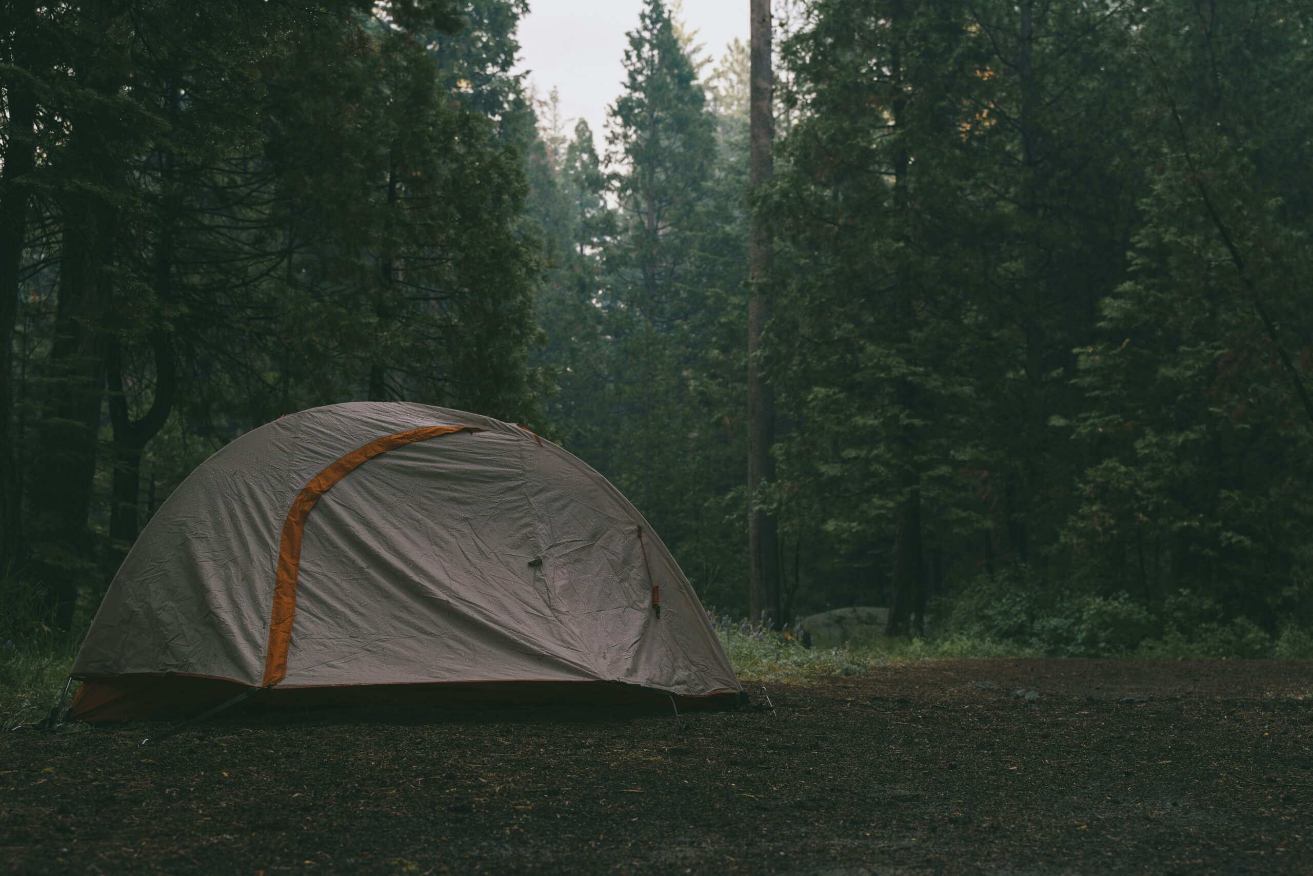 camping in the rain with kids - tent