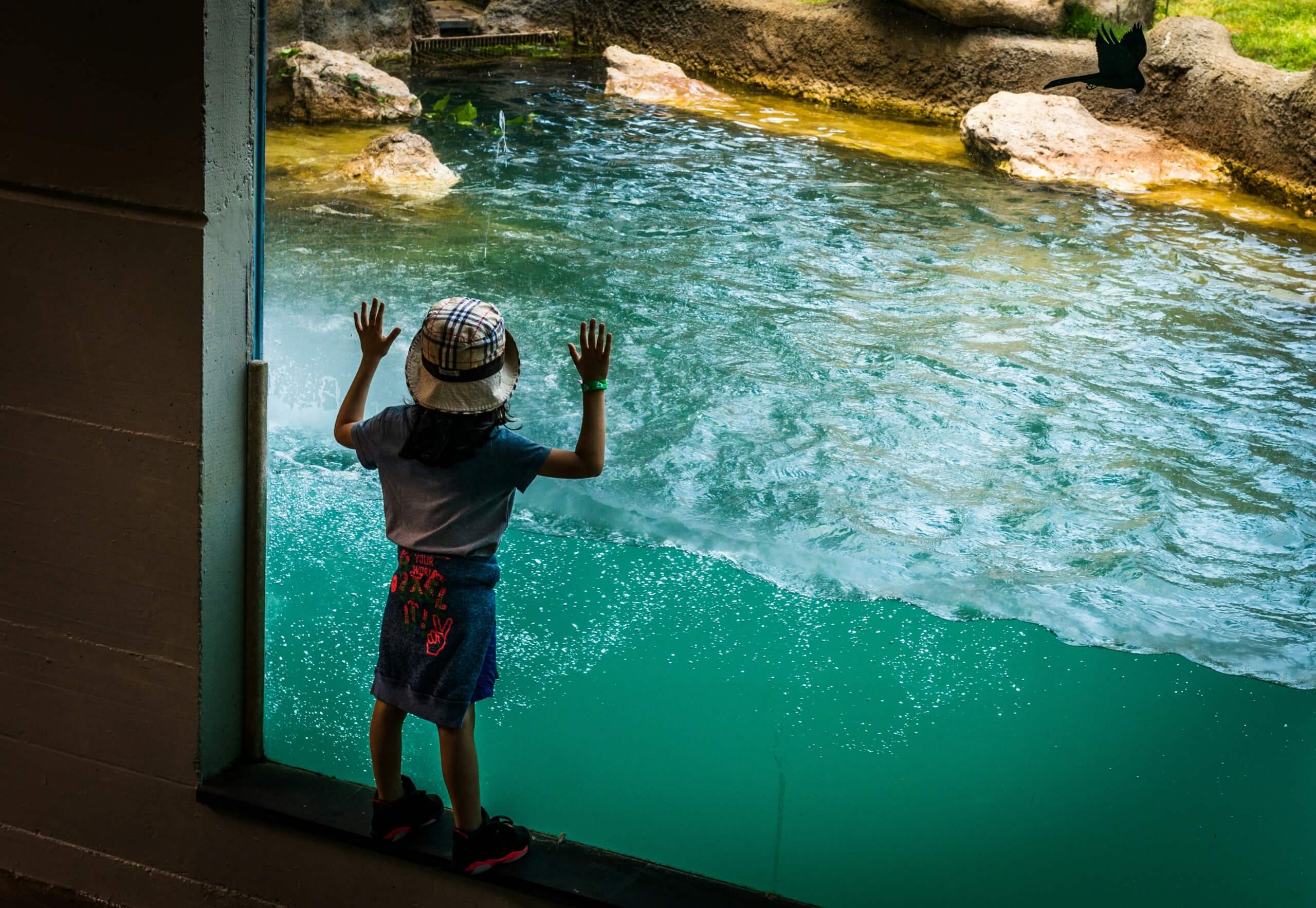 kid at aquarium - Educational Travel Experiences