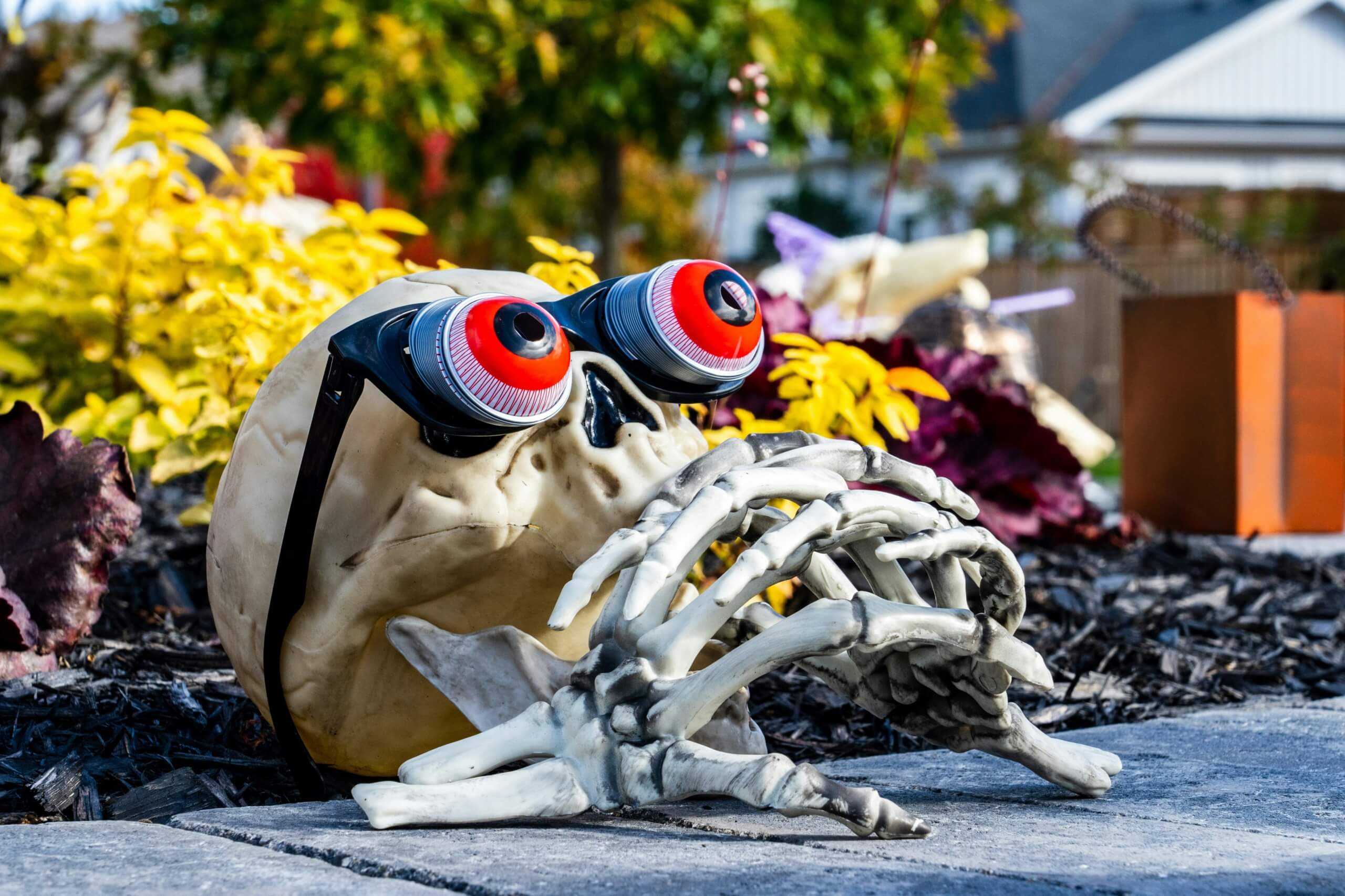 skeleton outdoor halloween decorations