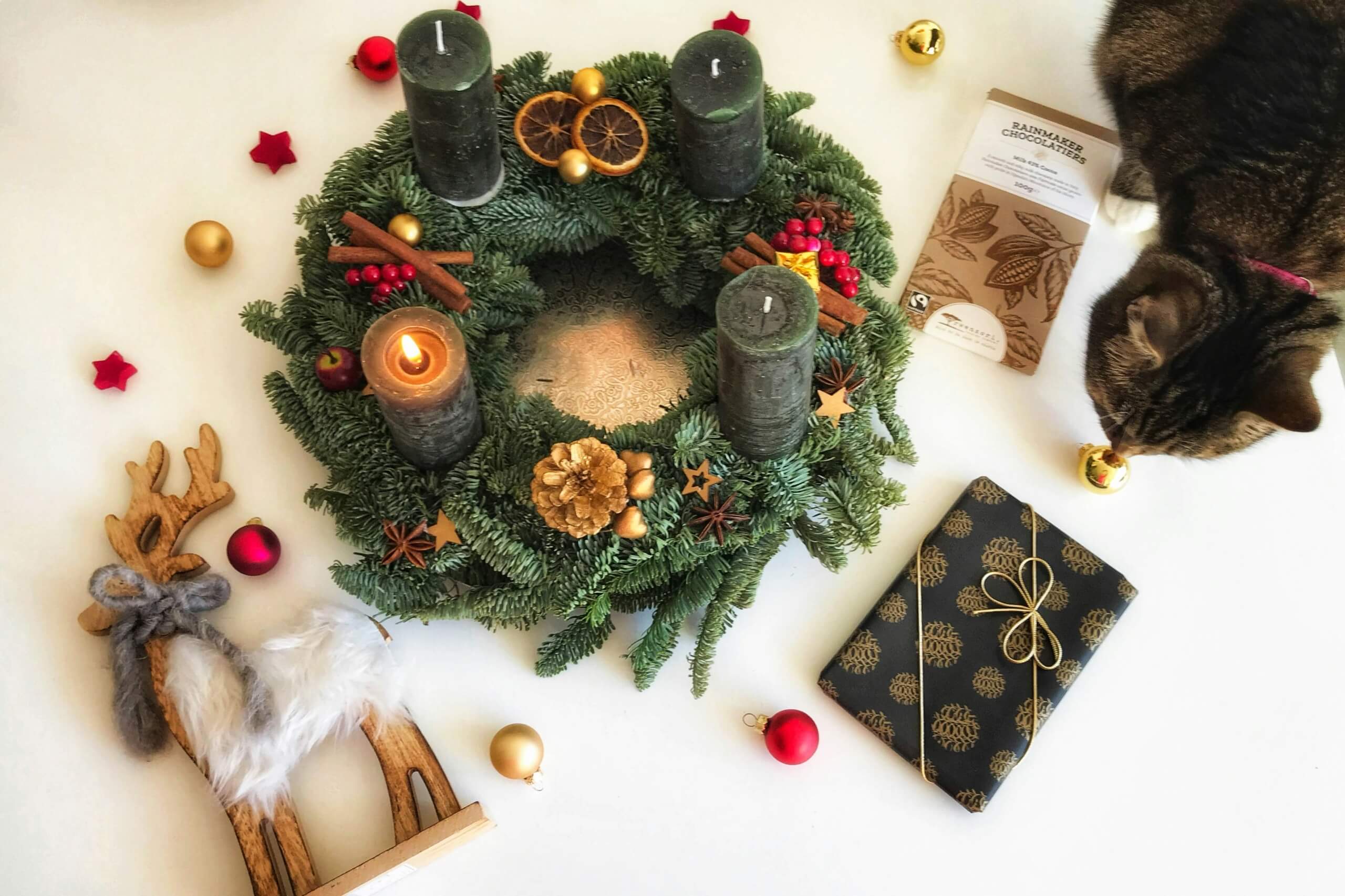 early gift guide for pet parents cat christmas