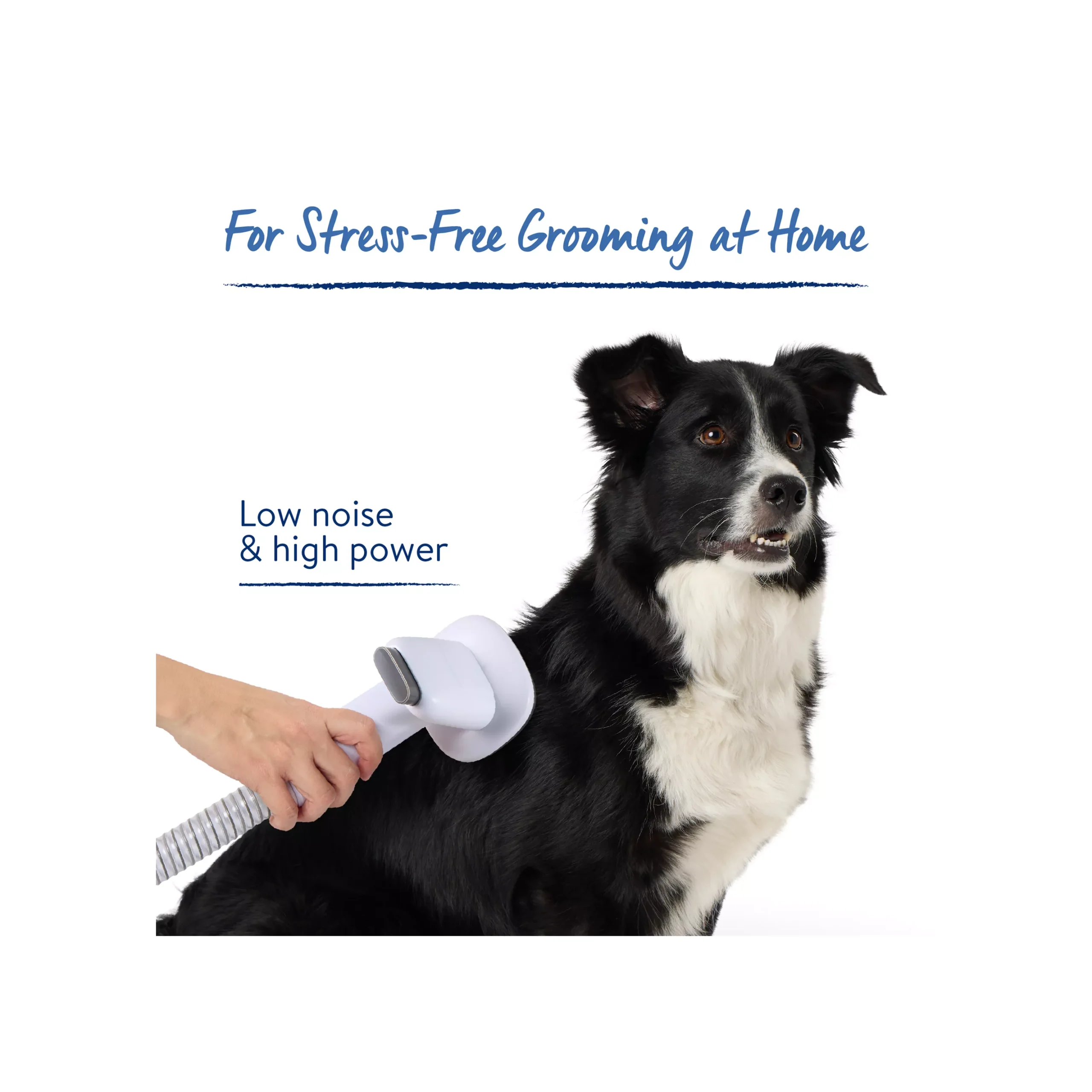 grooming kit Early Gift Guide for Pet Parents