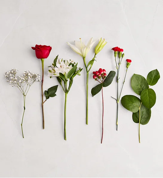 Fields of Europe® Bliss 2 The Best Flowers to give on Valentine's Day