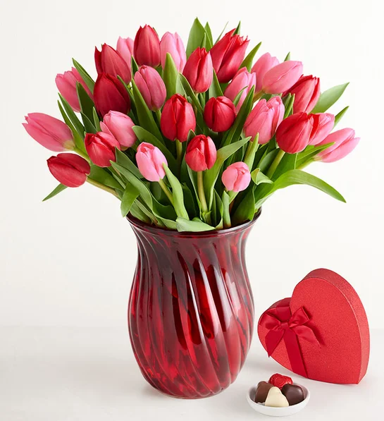 Sweetest Love Tulips The Best Flowers to give on Valentine's Day