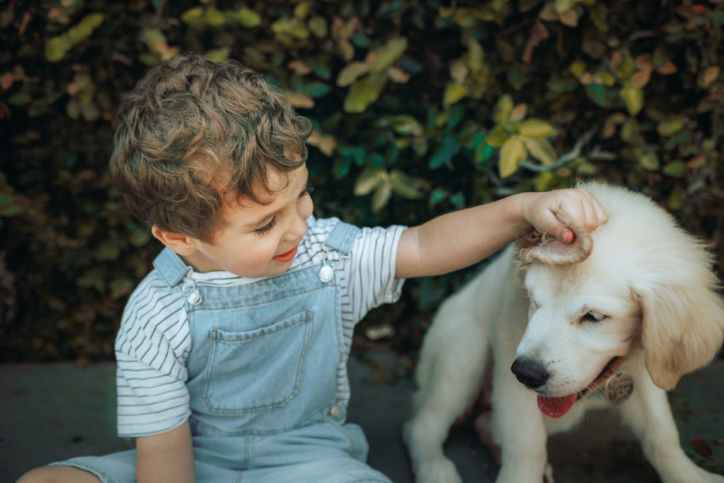boy meeting a puppy How to Introduce a New Pet to Kids Safely