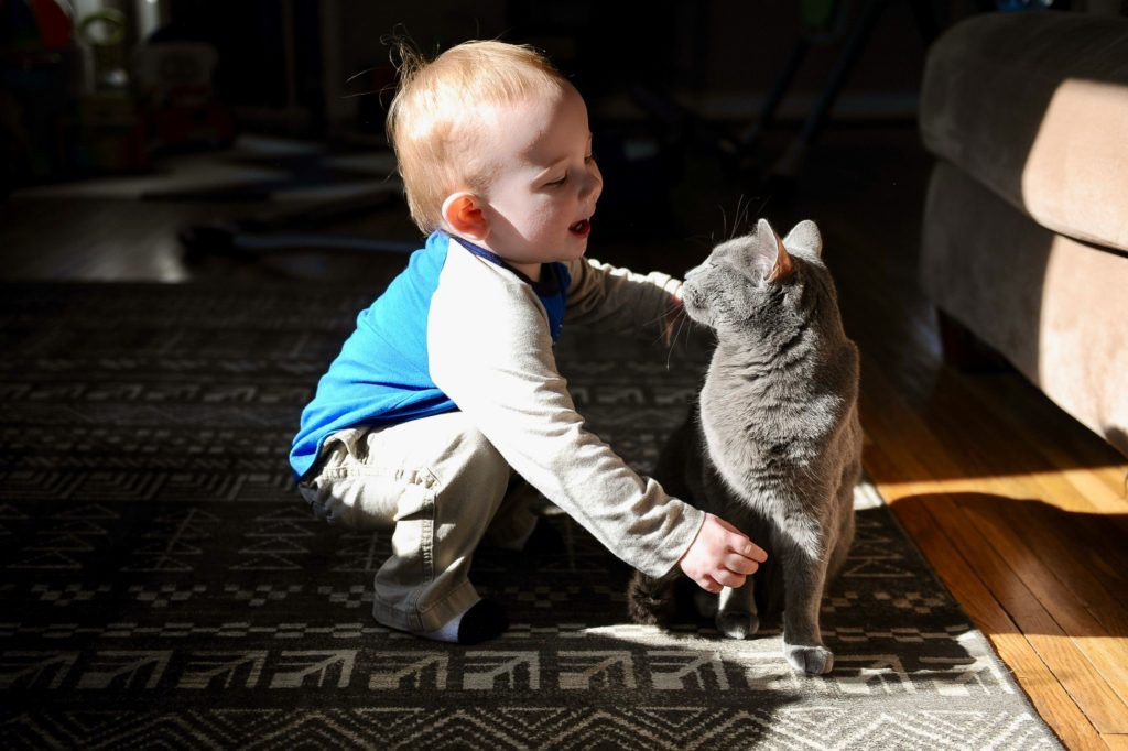 baby with cat How to Introduce a New Pet to Kids Safely