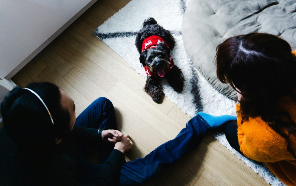 family dog How to Introduce a New Pet to Kids Safely