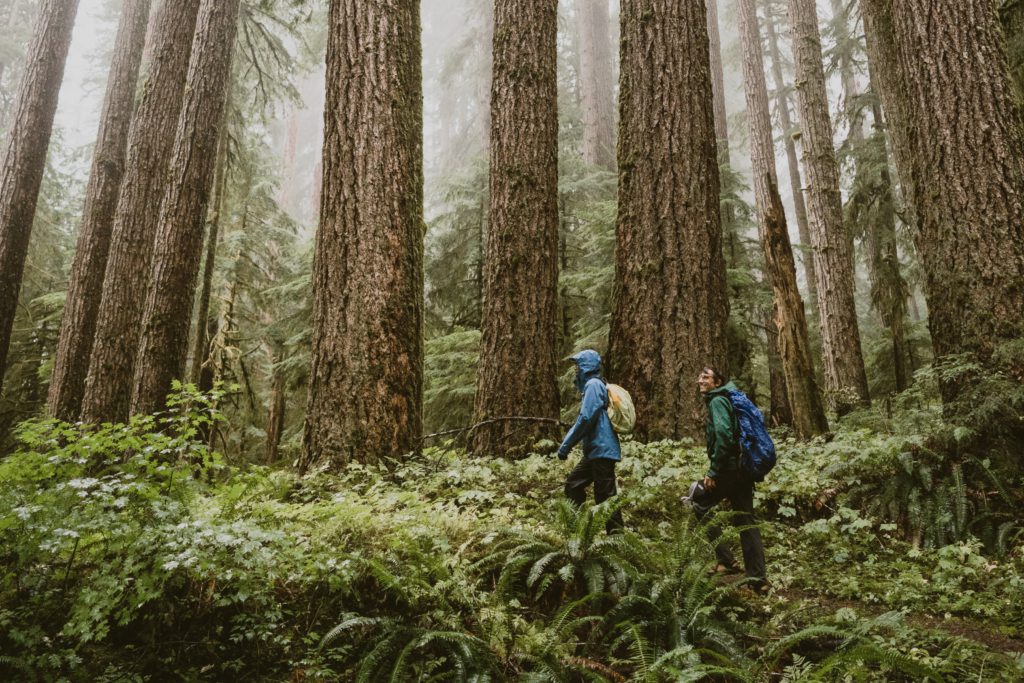 REI Labor Day Sale