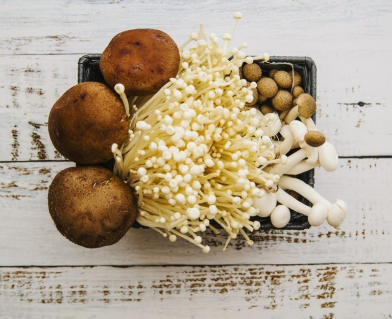 Creative Ways of Cooking Mushrooms – with Delicious Mushroom Recipes