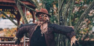 Spooky halloween house decorations