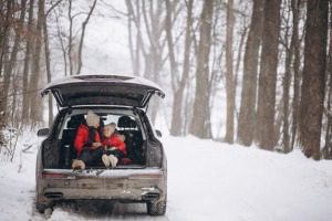 driving in the snow