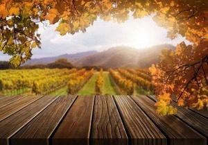 Valentine's Day Getaways-Napa Valley, CA Napa Valley, California