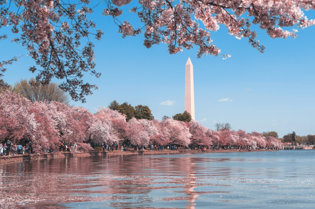  Best Family Spring Break Destinations washington dc