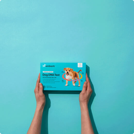 DOG DNA TESTING SWAB BOX