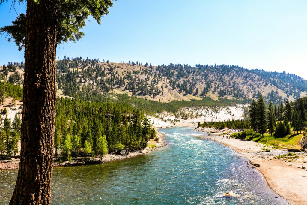 yellowstone Best Family Spring Break Destinations