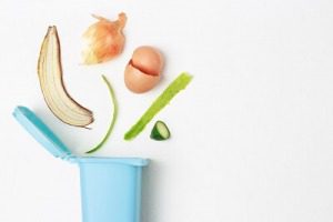 How to start composting, compost bin