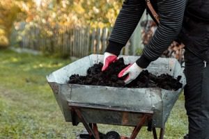 How to start composting, turn compost