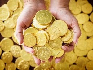 Family activities, Gold Coins 