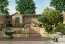 backyard renovations