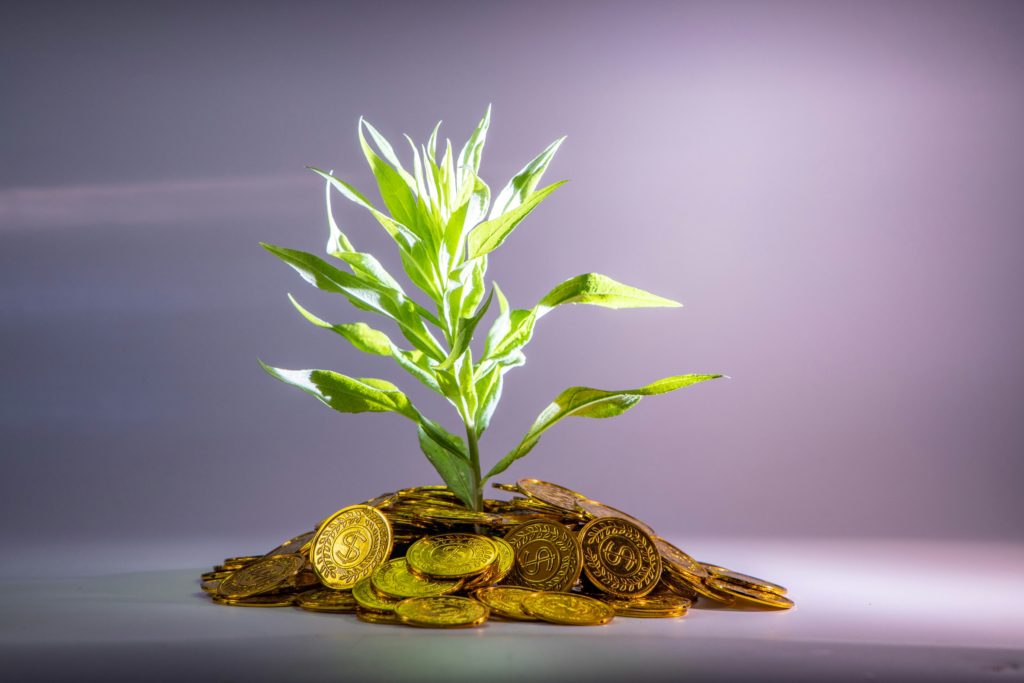 coins in plant investing for kids future