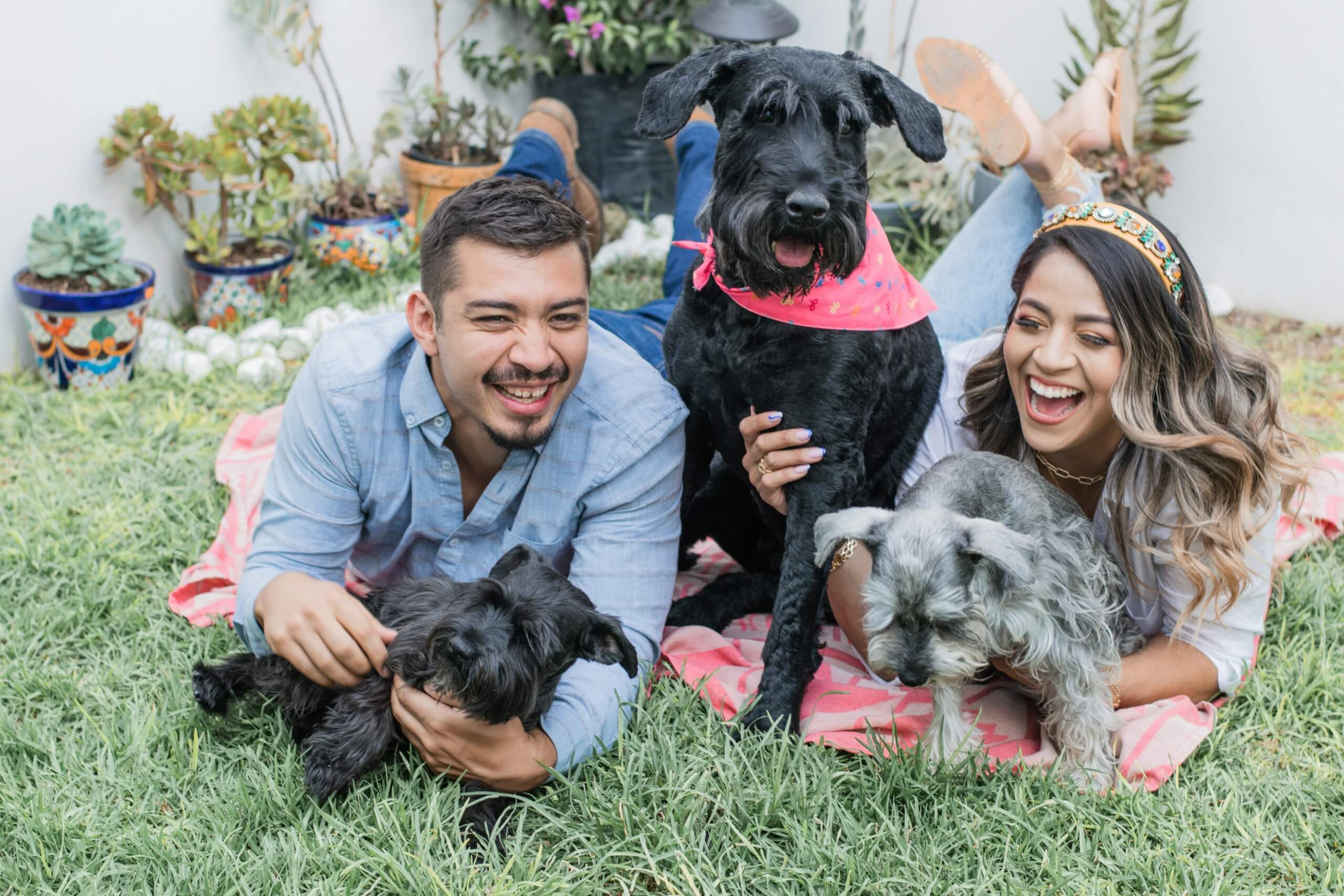 family dog pet