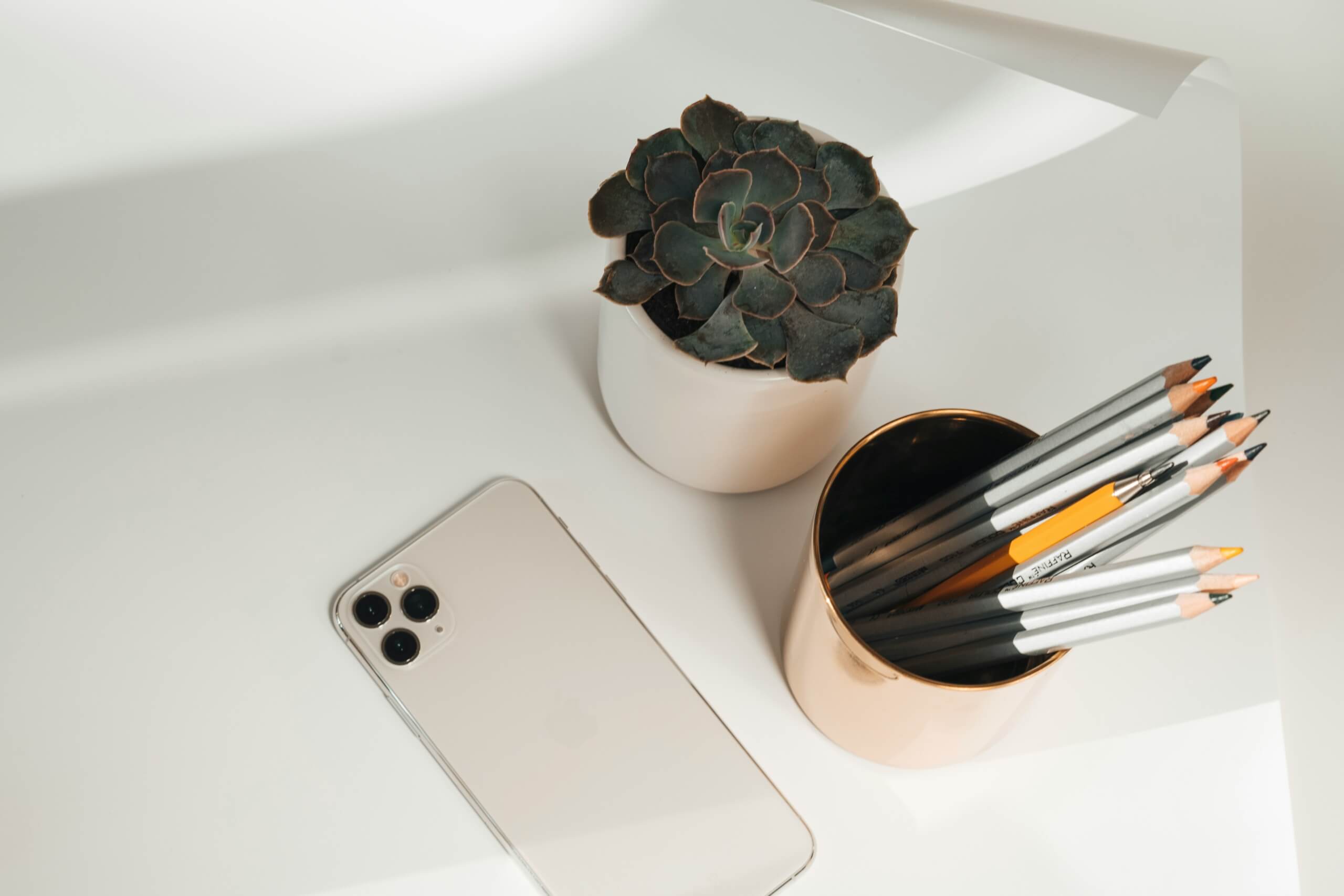 phone and notebook and plant back to school essentials