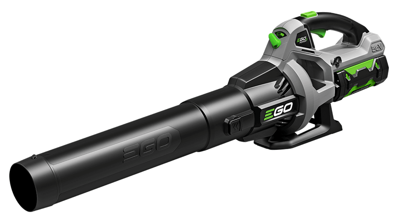 The Best Leaf Blower to Buy for the Fall