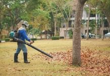 the best leaf blower to buy