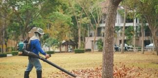 the best leaf blower to buy