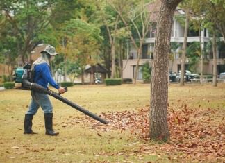 the best leaf blower to buy