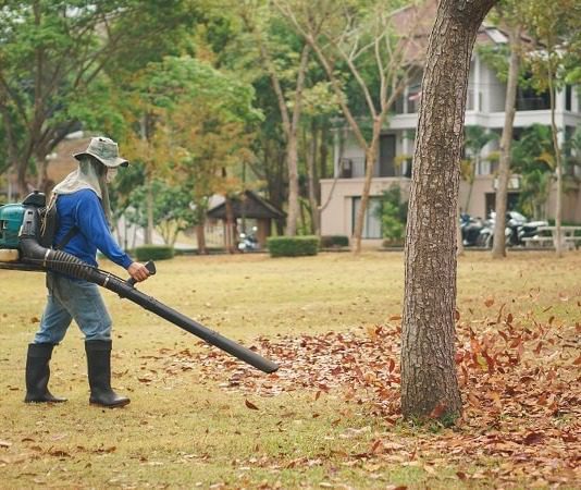 the best leaf blower to buy