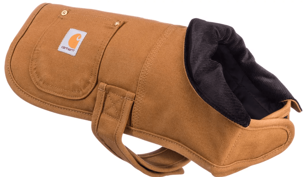 Camping With a Dog Essentials Gear for Your Pup