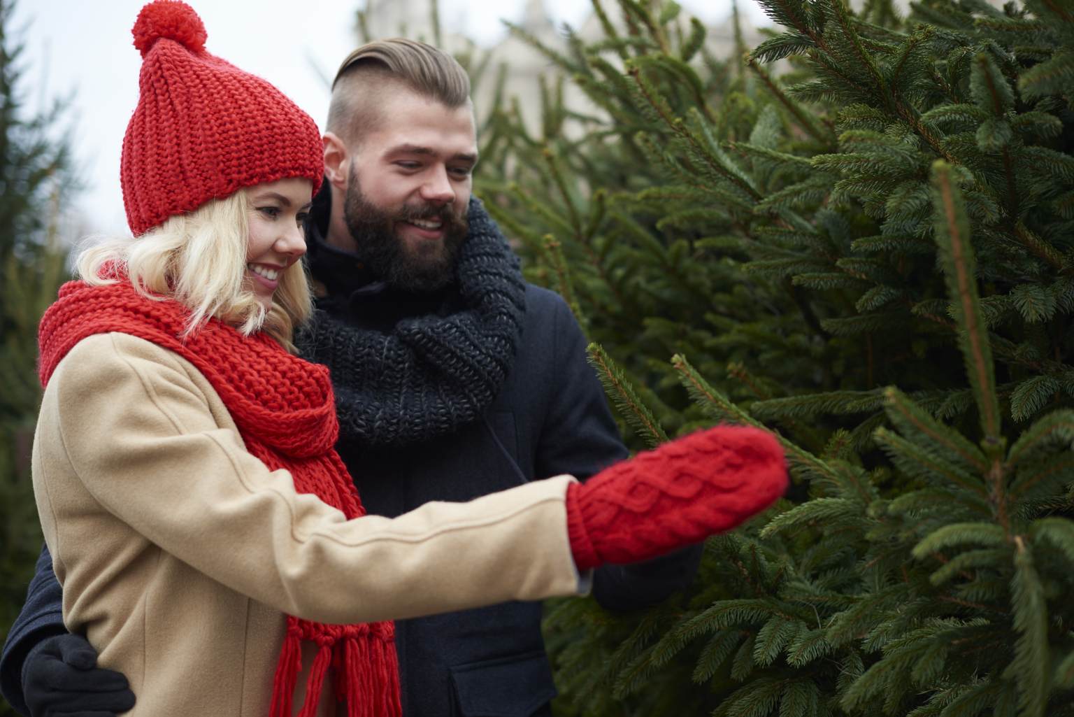 Christmas Activities to Bring Cheer to Your Winter