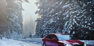 Red Sedan in the Middle of Forest - best snow chains for tires
