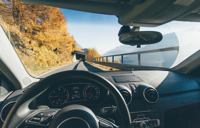 Vehicle on Roadway Near Trees - car signs on dashboard